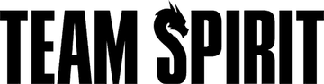 Team Spirit logo